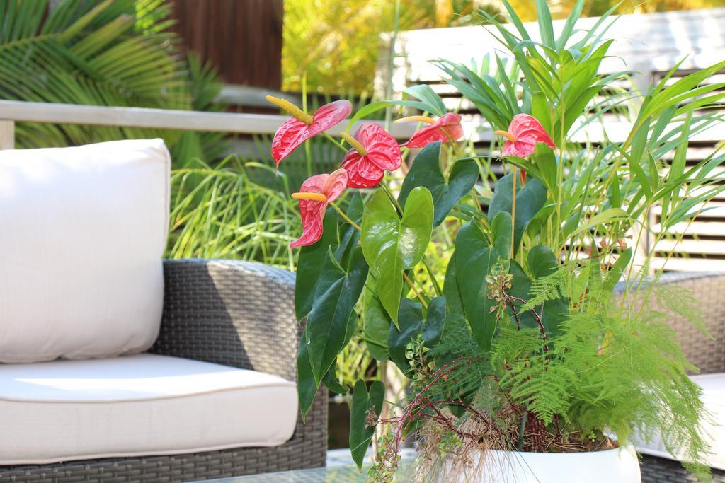 Margayillat Apartment Manapany-les Bains Exterior foto